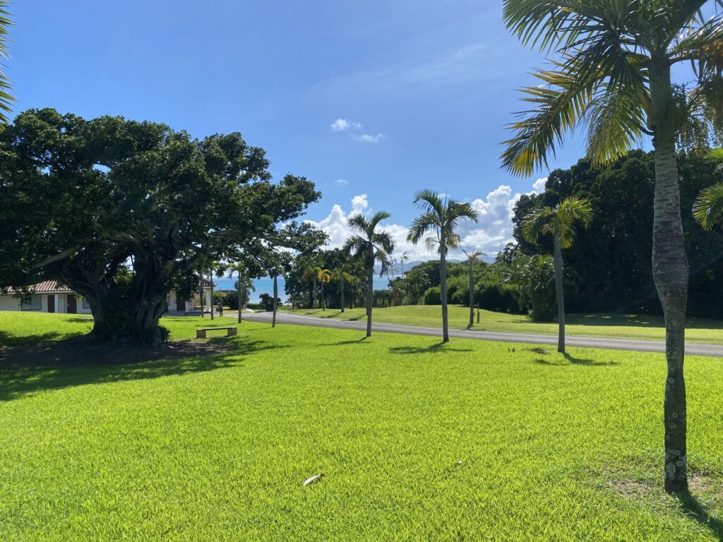 今の職場の画像