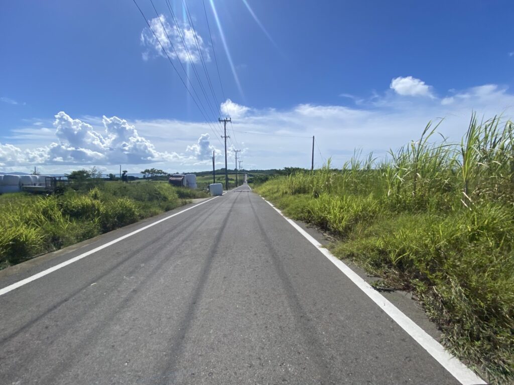 島の風景。さとうきび畑

